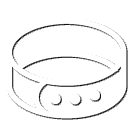 Dog Collar Icon